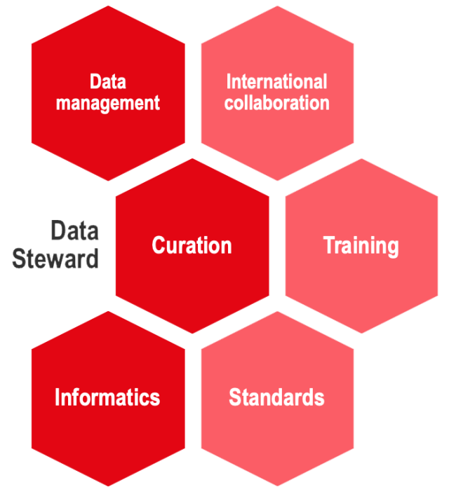 graph of the essential skills of a Data Steward