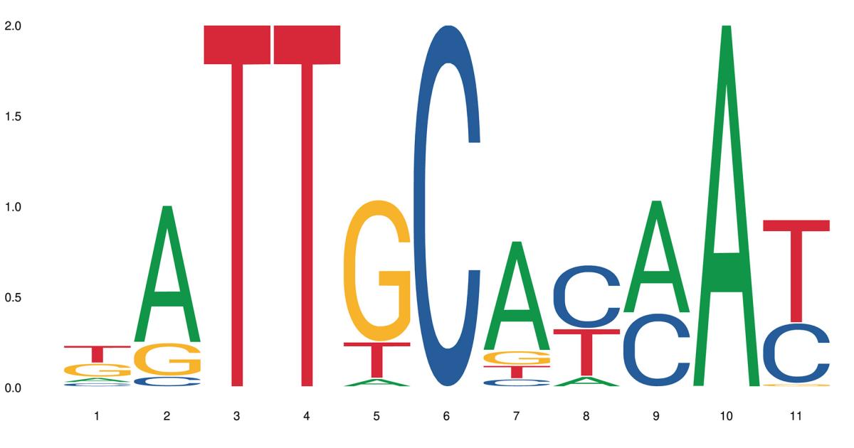 An open resource to find most accurate DNA binding motifs | SIB Swiss ...